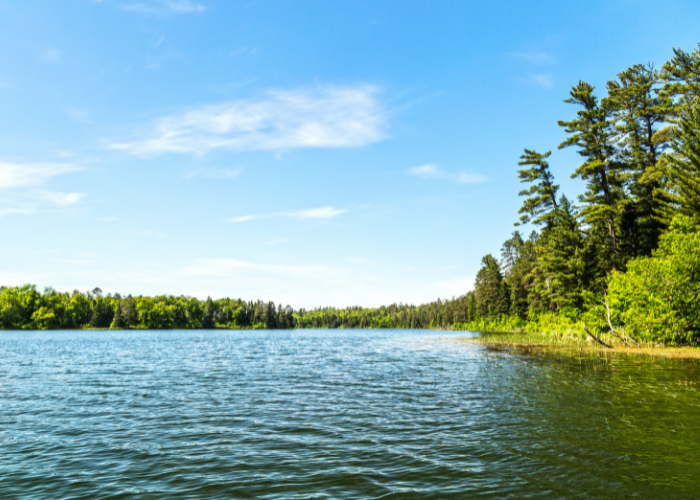 Discovering Lake Tengréla: A Hidden Gem in West Africa